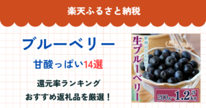 楽天ふるさと納税のブルーベリー還元率ランキング